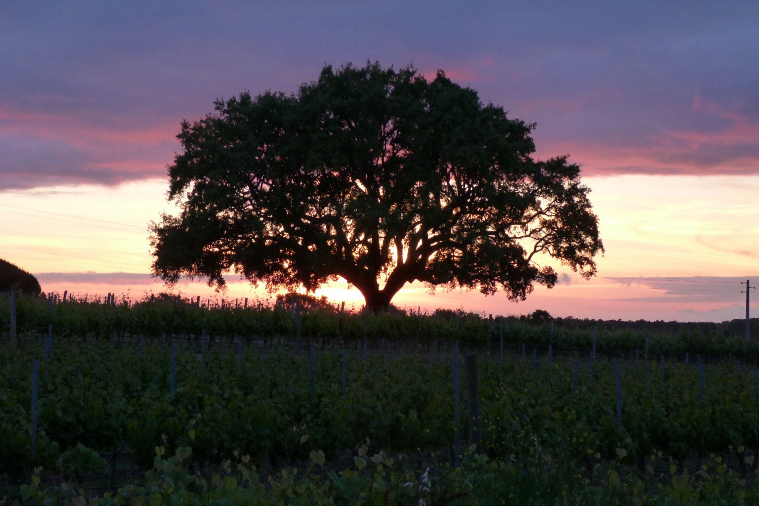 O Litoral Alentejano ao entardecer